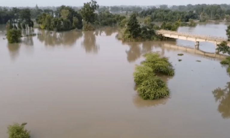 دریا ستلج اچ ۳۵ سال بعد غیر معمولی سیلاب ، ریسکیو کوششاں جاری